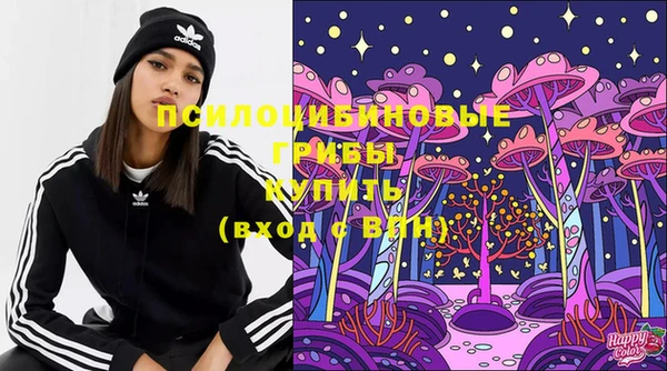 МДМА Белокуриха