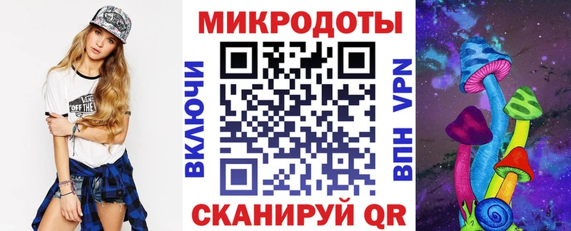 Псилоцибиновые грибы Psilocybine cubensis  Кондрово 